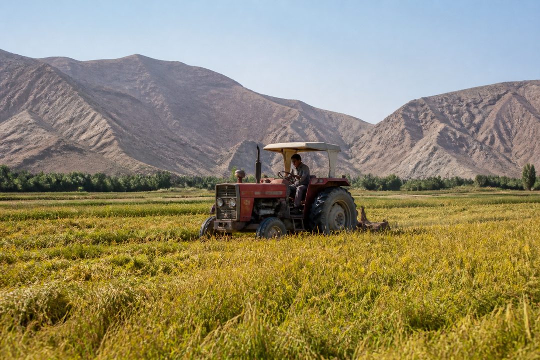 کشاورزی پایدار