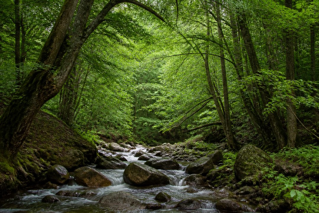 منظر طبیعی مناطق محروم